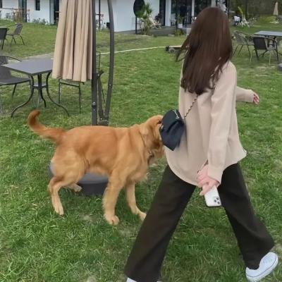 笑太极